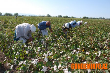 Tərtər Rayon İcra Hakimiyyəti Başçısının hesabat yığıncağı keçirildi