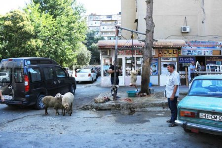 Agentlik qanunsuz ət kəsiminə qarşı reydlərə başlayıb -  