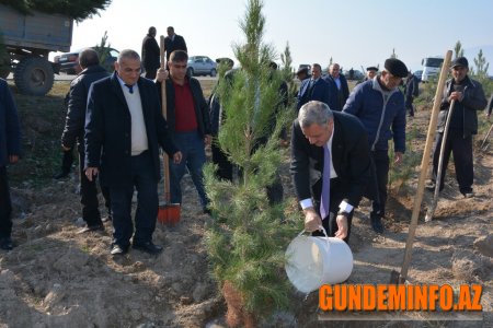 Tərtər rayonunda YAP-ın yaradılmasının 26-cı ildönümü qeyd olundu -