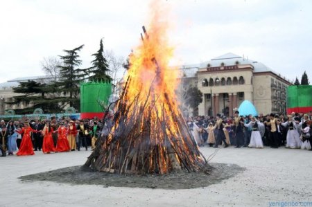 Azərbaycanda Kosa və Keçələ hücumlar başladı - 