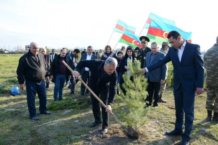 Tərtərdə 10 milyonuncu sakininin dünyaya gəlməsi münasibətilə ağacəkmə aksiyası keçirilib