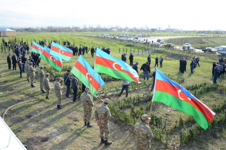 Tərtərdə 10 milyonuncu sakininin dünyaya gəlməsi münasibətilə ağacəkmə aksiyası keçirilib