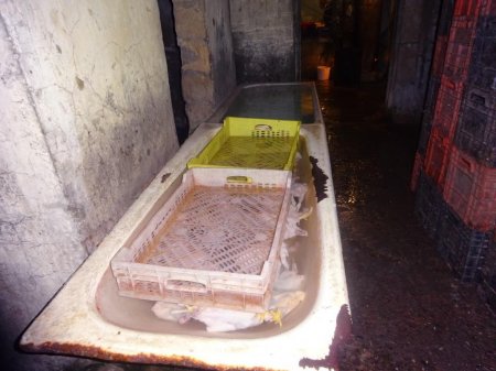 Bakıda daha bir qanunsuz toyuq sexi aşkarlanıb - 