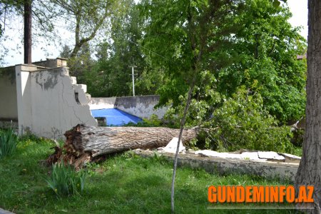 Daşkəsəndə güclü külək, dolu və leysan yağışları ciddi fəsadlar törədib - 