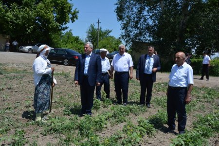 İcra başçısı kənddə təsərrüfatlarla tanış oldu - 