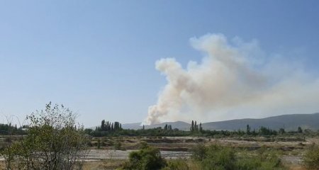 Qubadakı yanğını söndürmək mümkün olmayıb 