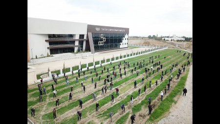 Tərtərlilər ölkəmizdə bir gündə 650 min ağac əkilməsi təşəbbüsünə həvəslə qoşulublar