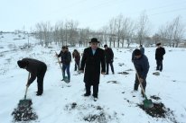 Əlverişsiz hava şəraitinə baxmayaraq Daşkəsəndə agacəkməyə hazırlıq görülür 