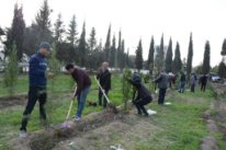 Tərtərlilər ölkəmizdə bir gündə 650 min ağac əkilməsi aksiyasında yüksək fəallıq göstəriblər