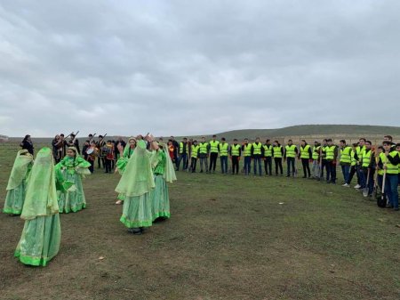 Abşeron sakinləri ağacəkmə kampaniyasında fəal iştirak edirlər 