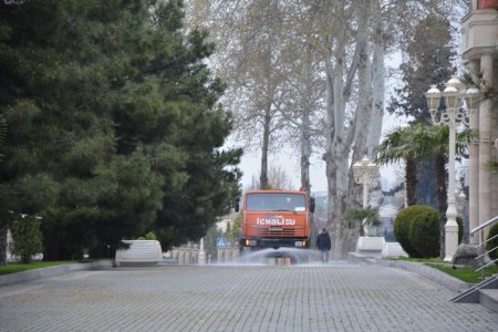 Tərtər rayonunda mütamadi olaraq dezinfeksiya işləri aparılır - 