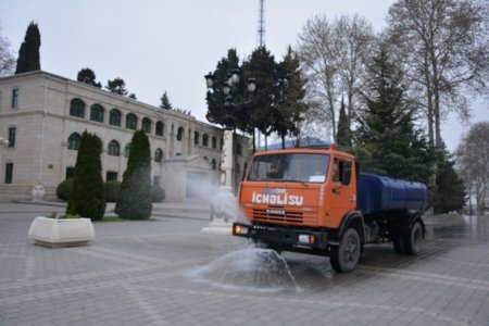 Tərtər rayonunda mütamadi olaraq dezinfeksiya işləri aparılır - 