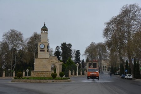 Tərtər rayonunda mütamadi olaraq dezinfeksiya işləri aparılır - 