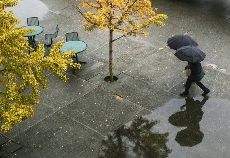 Bu gün havanın temperaturu iqlim normasından yuxarı olub