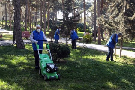 Azərbaycanda daha 18 min ödənişli iş yeri yaradılıb