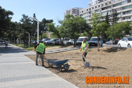 Nizami rayonunda abadlıq-yenidənqurma işləri aparılır