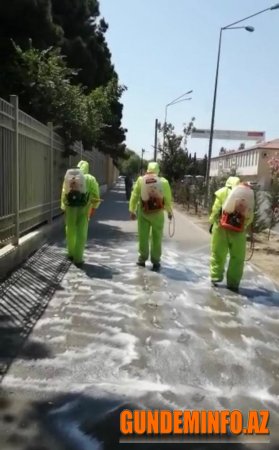 Nizami rayonunda dezinfeksiya işləri aparılıb-