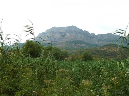 Zəngilanın işğaldan azad edilməsi Azərbaycanın mineral resurs istehsalını və ixracını artıracaq