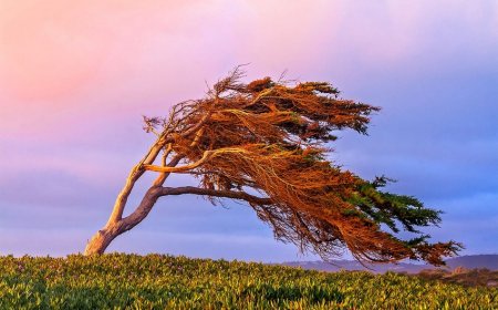 Havanın temperaturu aşağı düşəcək, yağış yağacaq,