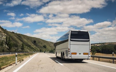 Bakıdan Naxçıvana avtobusla gedənlərdən PCR testi arayışı tələb olunmayacaq - 