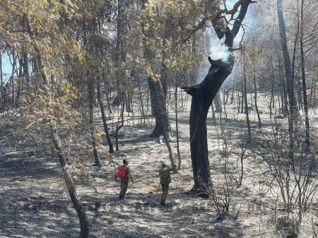 Yanğınsöndürənlərimiz daha bir kəndi xilas etdi 