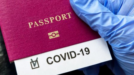 Saxta COVİD-19 pasportu verən tibb işçiləri saxlanıldı - 