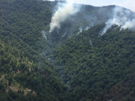 Ağsuda dağlıq ərazidə baş verən yanğın söndürüldü