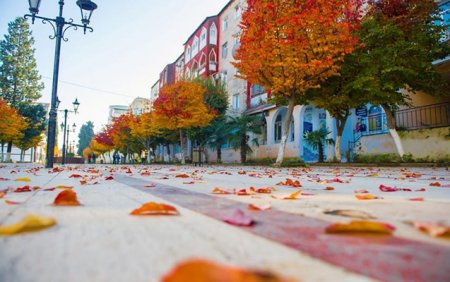 Parkın mərmər döşəməsini söküb “2 manatlıq” tamet vururlar? -  