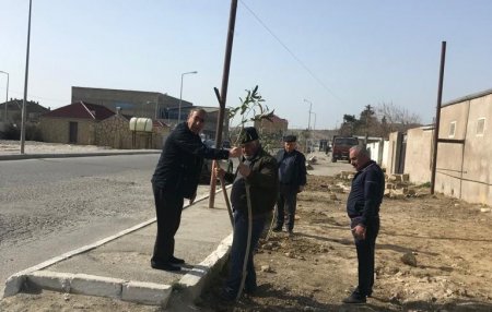 Qaradağ rayonunun bütün qəsəbələrində iməclik keçirilmişdir