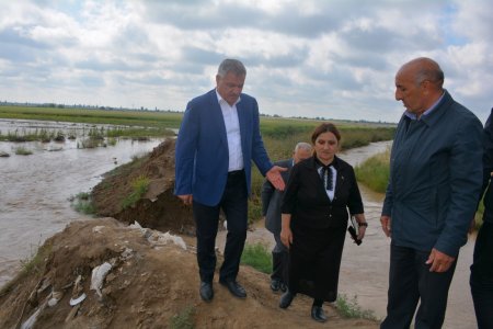 Xaçın çayının daşması nəticəsində Hüsənli kəndində 100 hektar əkin sahəsinə ziyan dəyib