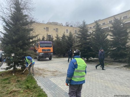 Bakının mərkəzində əvvəl ağacları çıxardılar, indi də obyekt tikirlər - 