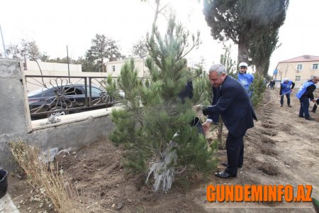 Tərtərdə “Heydər Əliyev ili” çərçivəsində növbəti ağacəkmə aksiyası keçirilib