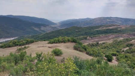 Ağsuda örüş sahələri Abid Şərifovun şirkətinə satılıb?