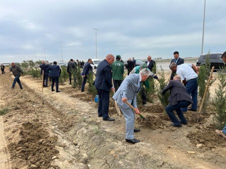 Qaradağ rayonunda “27 sentyabr – Anım Günü” ilə əlaqədar ağacəkmə aksiyası keçirildi