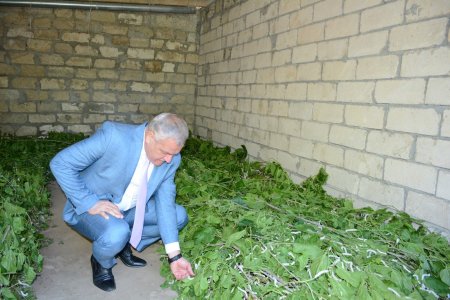  İcra başçısı rayonun Qaynaq kəndində barama qurdlarının bəslənilməsi vəziyyəti ilə maraqlanıb