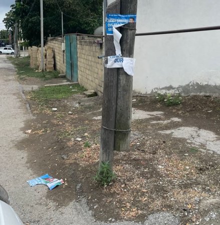 Rauf Qurbanovun plakatlarını kim cırır? - 