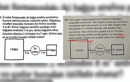 DİM-in sualı plagiatdır? - 