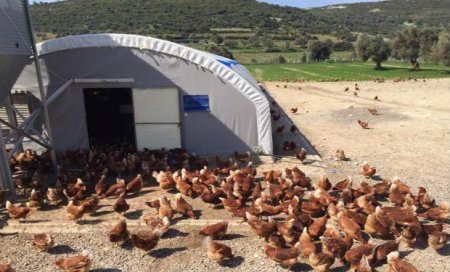 “Giləzi Quşçuluq Təsərrüfatı” su altında qaldı 