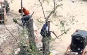 Nərimanov rayonunda ağacları kəsən "Ailə Park"ın rəhbəri Hüseyn Mədətov sakinlərin evlərinə də uçurub - Nərimanov rayonunda ağacları kəsən "Ailə Park"ın rəhbəri Hüseyn Mədətov sakinlərin evlərinə də uçurub -