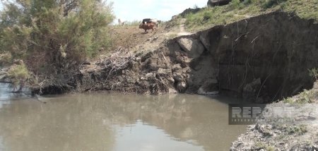 İmişlidə Kürün mühafizə bəndi uçur 