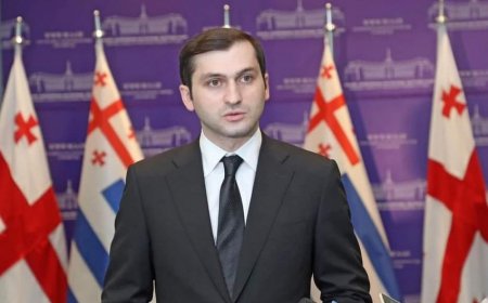 Acarıstan hökumətinin keçmiş başçısı silahlı hücuma məruz qalıb