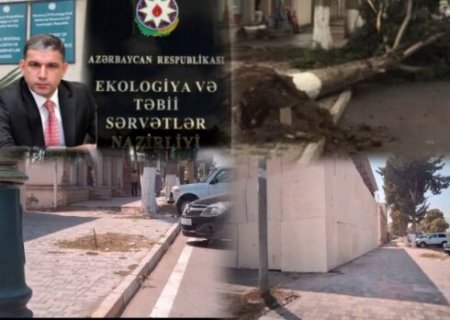 Ağstafada Ümummilli liderin adını daşıyan prospektdə "ekoloji Terror" 