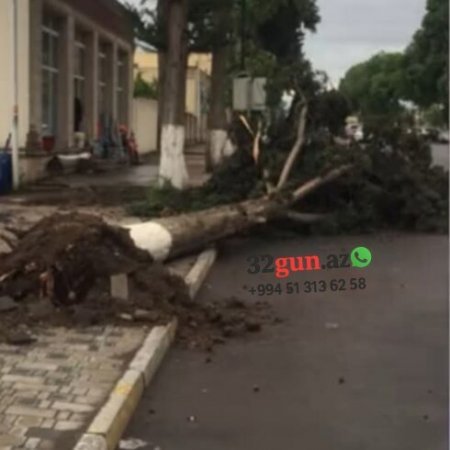 Ağstafada Ümummilli liderin adını daşıyan prospektdə "ekoloji Terror" 