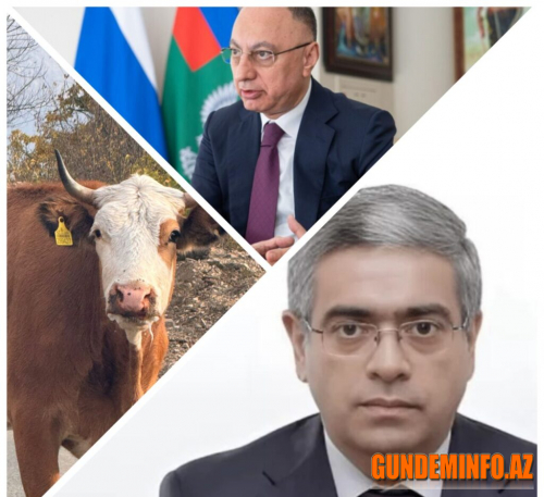 Dabaq xəstəliyi nazirliyin gətirdiyi heyvanlardan yayılıb -  Dabaq xəstəliyi nazirliyin gətirdiyi heyvanlardan yayılıb -
