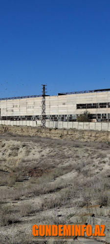 Zaur Mikayılova çağırış -