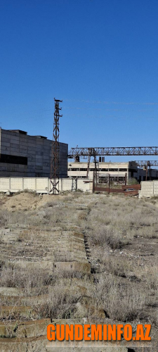 Zaur Mikayılova çağırış -