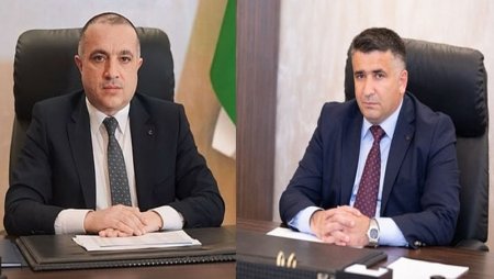 Tahir İskəndərov və Elxan Paşayevin şirkəti tender kralına çevrilir