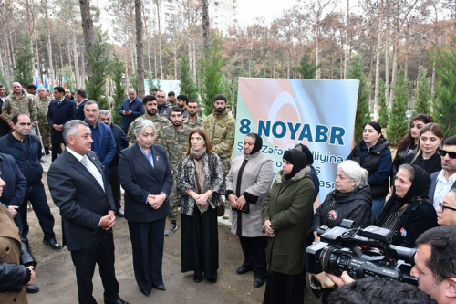 Abşeronda Zəfər Günü ilə bağlı ağacəkmə aksiyası keçirildi -  
