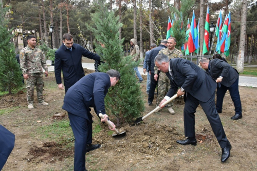 Abşeronda Zəfər Günü ilə bağlı ağacəkmə aksiyası keçirildi -  