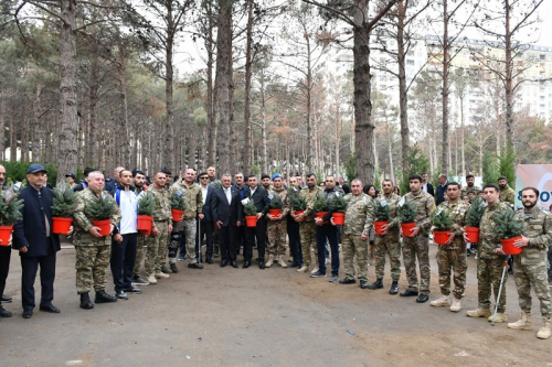 Abşeronda Zəfər Günü ilə bağlı ağacəkmə aksiyası keçirildi -  